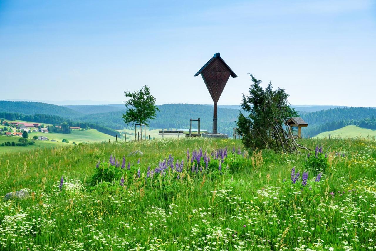 Hubertus Lodge Ibach Εξωτερικό φωτογραφία